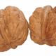 Illustration for article titled People Who Gobble Nuts Every Day Live Longer